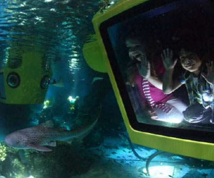 Deep Sea Adventure